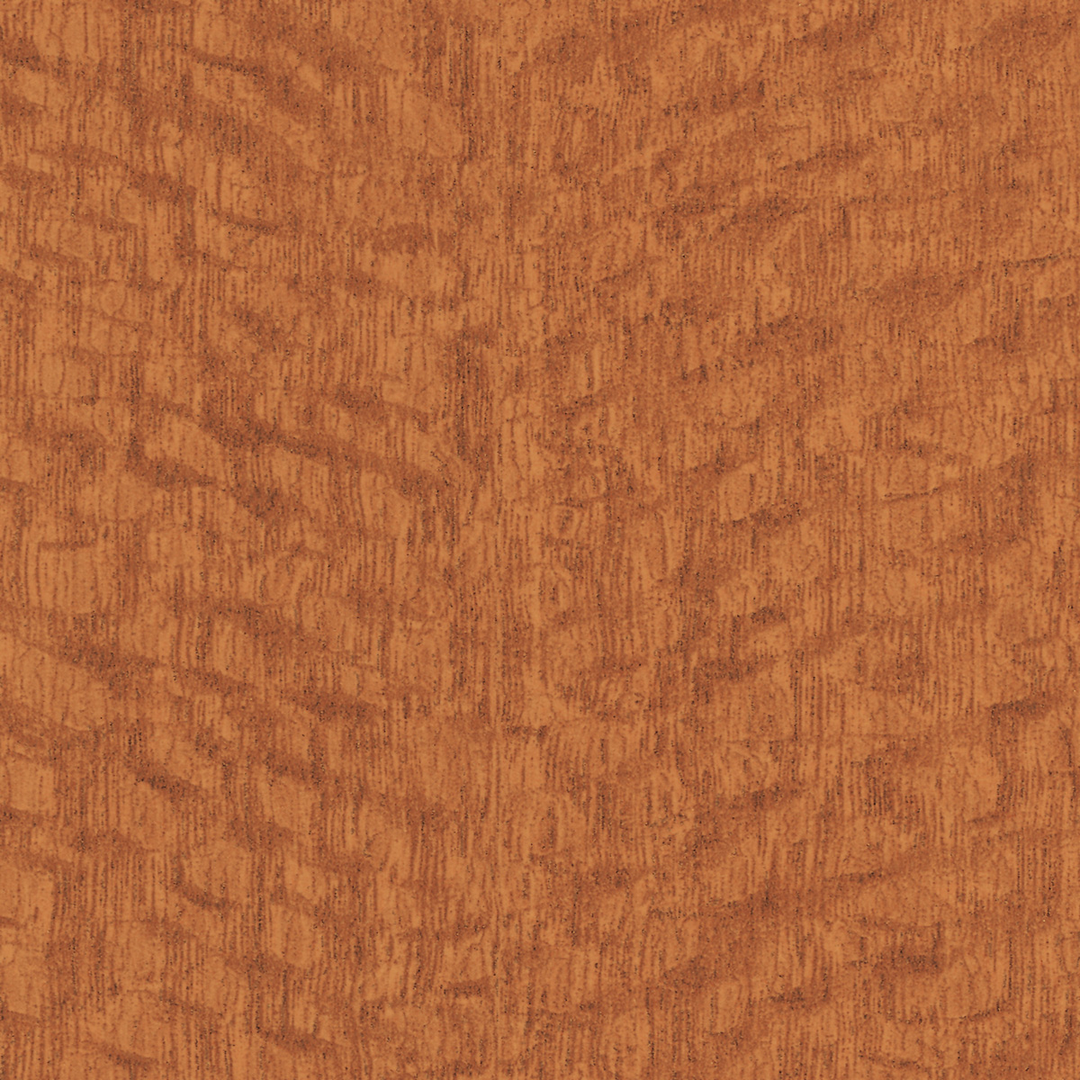 Lacewood by Formica
