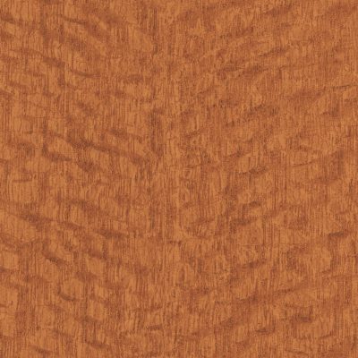 Lacewood by Formica