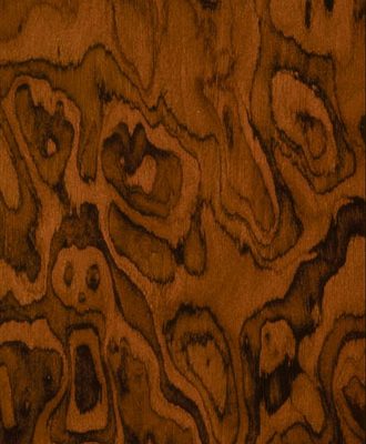 Walnut Burl by Brookside Veneers