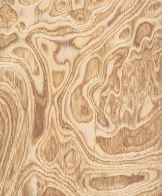 Olive Ash Burl by Brookside Veneers